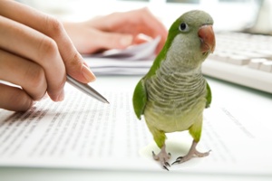 עניינים מנהליים